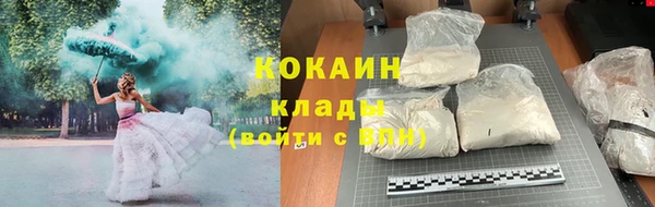 стаф Богородск