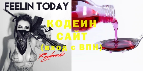 ECSTASY Богданович