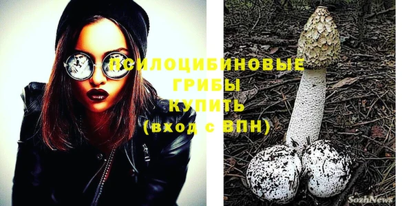 2c-b Богородицк