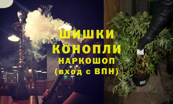 ECSTASY Богданович