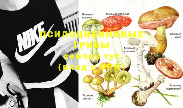 крисы Белокуриха