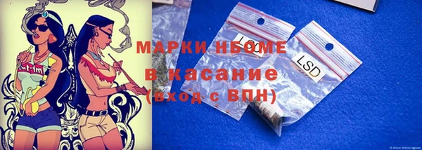 ECSTASY Богданович