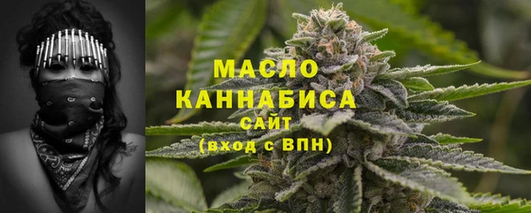 ECSTASY Богданович