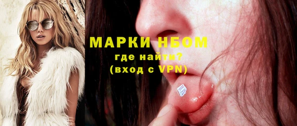 ECSTASY Богданович