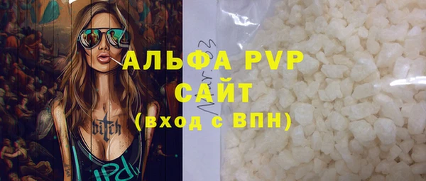 стаф Богородск