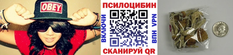 Галлюциногенные грибы GOLDEN TEACHER  OMG tor  Пионерский 